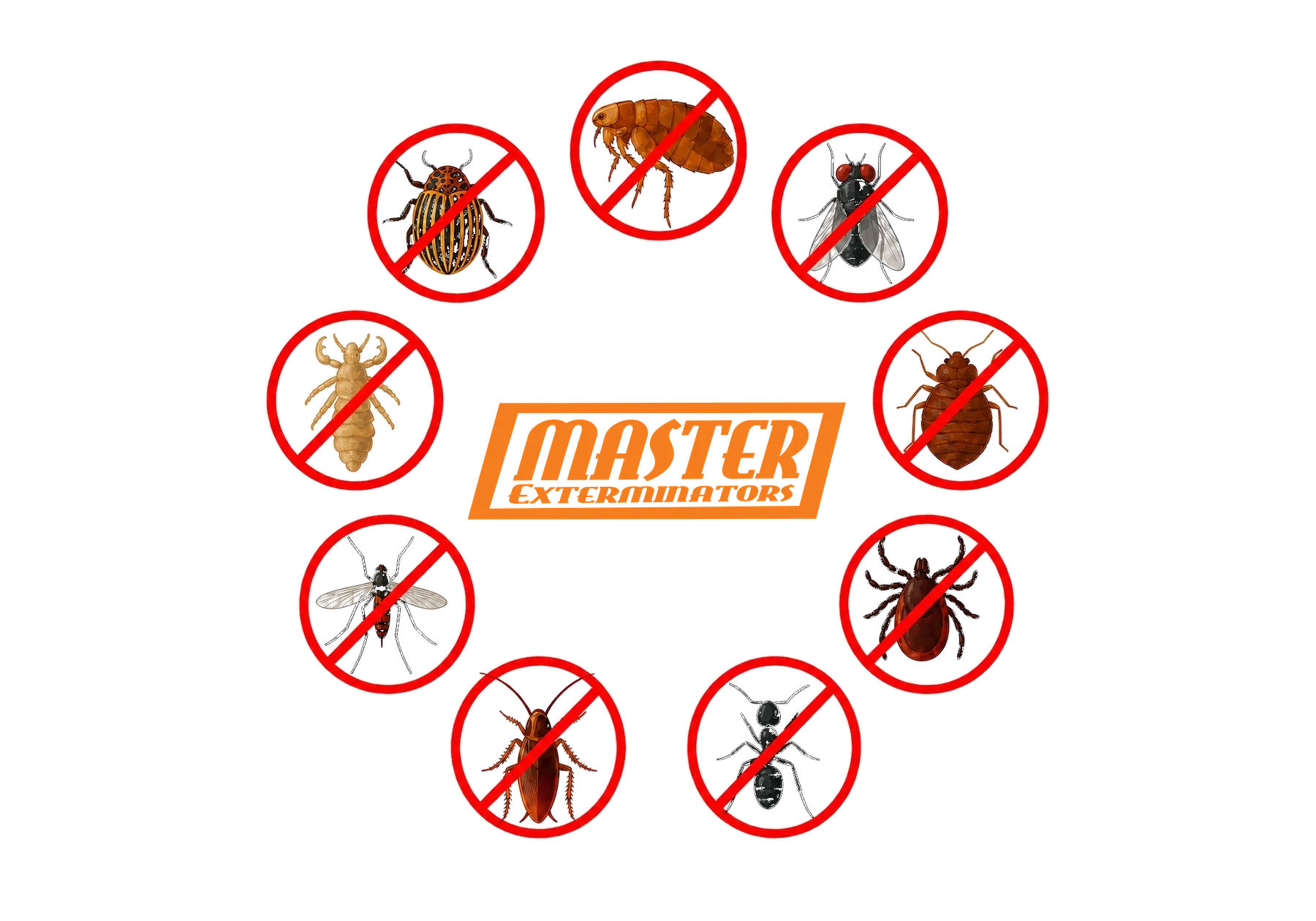 Pest control service illustration